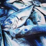 Рыбная продукция официально исключена из единого перечня товаров, подлежащих госрегистрации